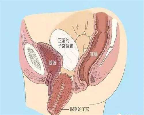 上海天使助孕机构,同样的怀孕月份，有的孕妈妈