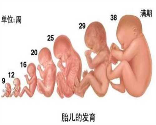 上海代孕在线咨询：春季最适合孕妇吃的3种水果