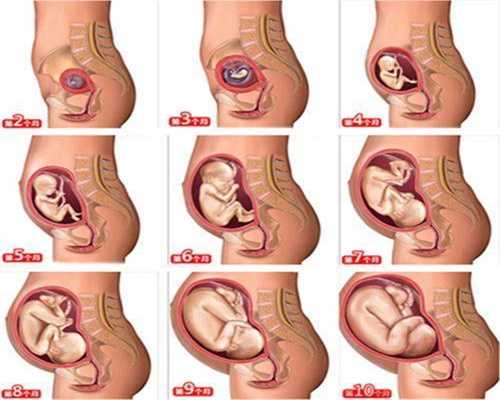 上海代孕生殖_孕妇摔跤了对胎儿有什么影响