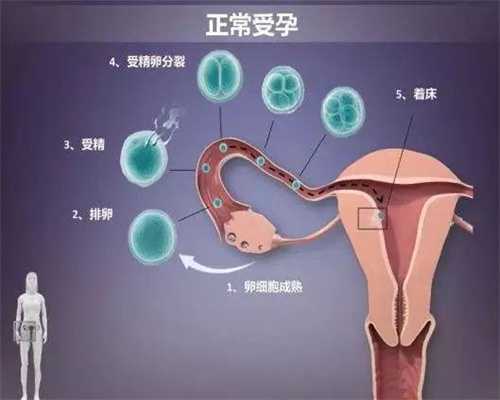 上海代孕自选性别_如何让宝宝躲开秋季腹泻的“眷顾”？