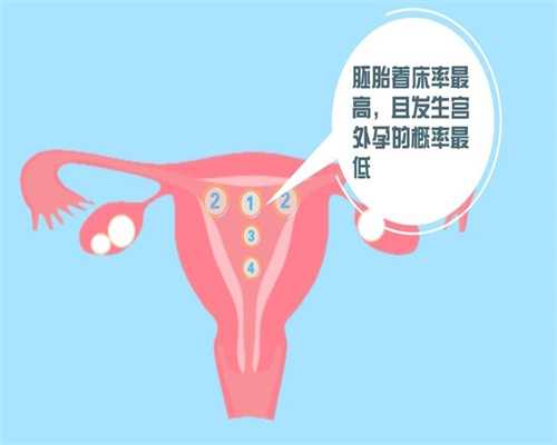 上海代怀孕成功率_预产期还有20天会不会提前生