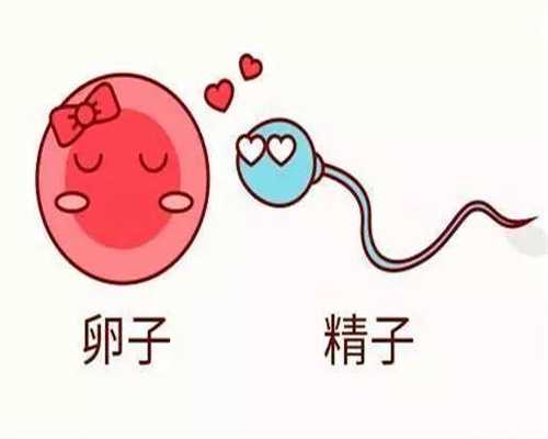 上海代孕一般花多少钱_孕妇抽血后吃什么补血比较快