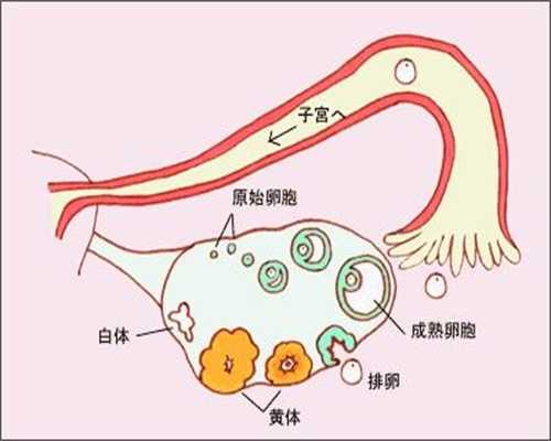 上海代怀孕助孕2020_备孕如何测体温 女性备孕必懂常识