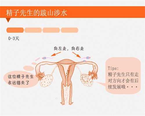 上海代孕女孩包成功_人口密集的大厅开荒保洁不可忽视