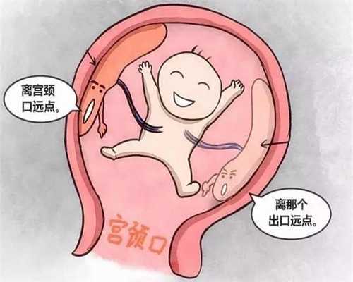 上海代生代孕网_“最强新生儿”走红,脐带还没剪就“跑了”,助产士现场笑翻了