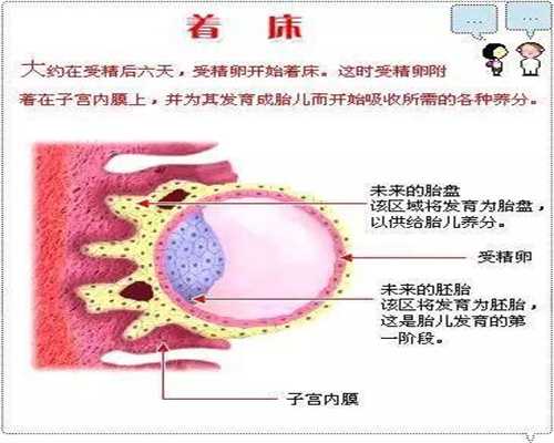 上海代孕女联系电话_测试怀孕性别有哪些方法