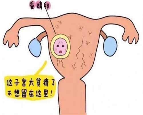 上海正规的代孕机构_坐月子泡脚害处有哪些？健康专家来回答！