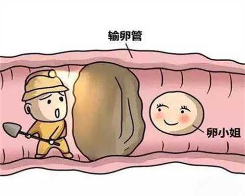 上海代孕要花多少钱_小腹右侧抽痛要怎么办