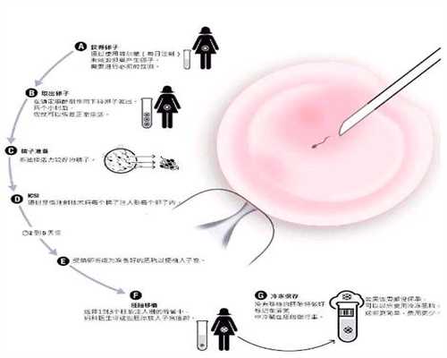 上海代孕价位_上海代孕那个最权威_上海代孕费用医院中介
