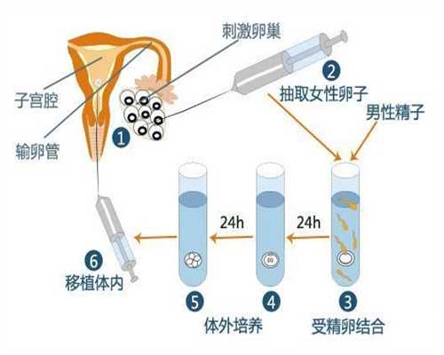 上海代孕中心,上海代孕中心真假,上海人工助孕的过程视频