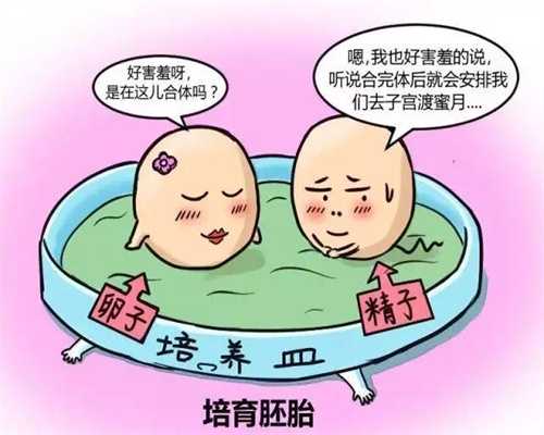 上海代孕试管_上海代怀孕法律_上海代孕可以避免溶血吗