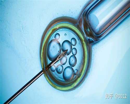 上海代孕网_上海找代理生孩子_上海代孕能生双胞胎吗