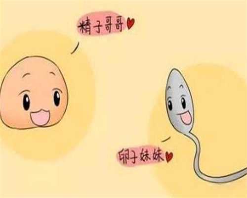 上海借卵代孕-上海供卵代孕价格表-上海做供卵试管哪家医院好