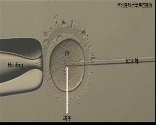 上海代生男孩，上海代孕生子医生，上海代孕协议是否有效