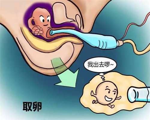 上海代孕全包~上海代孕中心地址~上海代孕生孩子在哪里
