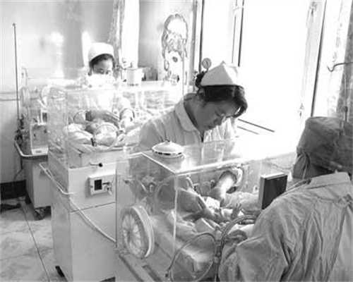 上海人工代孕,有上海代孕医院吗,上海试管成功率是多少