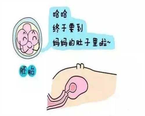 上海代孕移植`上海出国代孕手续`上海试管代孕注意事项
