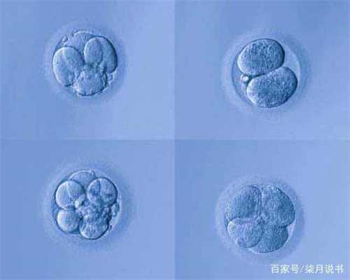 上海夫妻代孕_上海正规代妈机构_2021上海借卵代孕多少钱