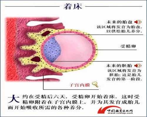 上海代孕宝宝-上海代孕生子是真-上海代孕生子网价格表