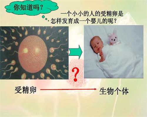 上海代生男孩，上海代孕婴儿，上海代孕手术什么价格