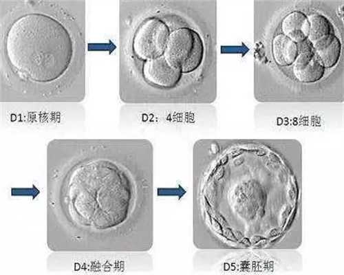 上海代孕要求`个人找上海代孕`2020上海代生孩子大概要多少钱