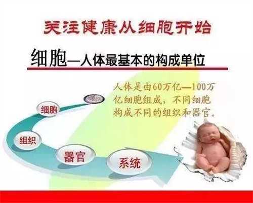 上海急寻代孕~上海代妈价格~上海在做代孕的费用