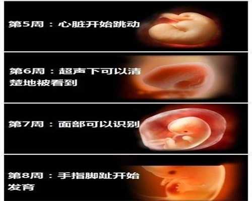 上海代孕供卵,上海有供卵试管么,上海代孕机构官网网站