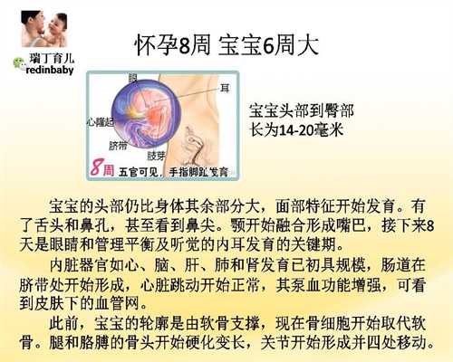 上海代孕生子-上海最大代孕公司-上海试管代孕怎么做的全过程