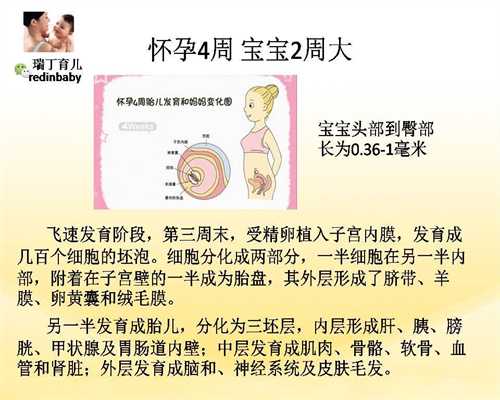 上海急寻代孕_上海代孕流程_去上海试管需要多少钱