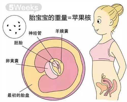 上海代孕收费`上海代孕最新政策`上海代孕怎么抱回孩子