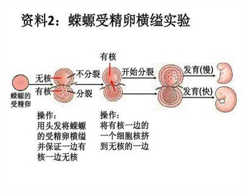 上海代孕手续-哪里可以上海供卵-上海借卵子试管成功率更高