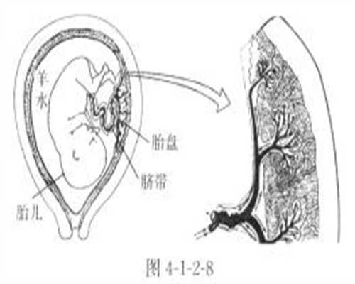 上海代孕好吗`去上海试管代孕费用`卵巢早衰生孩子上海供卵流程