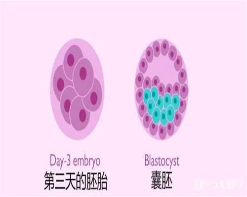 上海代孕供卵_可靠上海代妈公司_上海试管代孕要打多少针