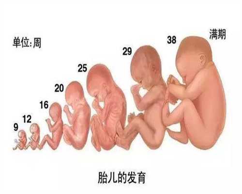 上海靠谱代孕，上海代孕国际价格，上海代孕中介违法不