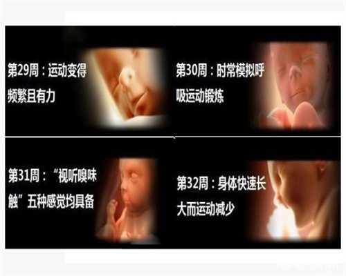 上海代孕方法_上海代孕多么_上海做试管的条件有哪些