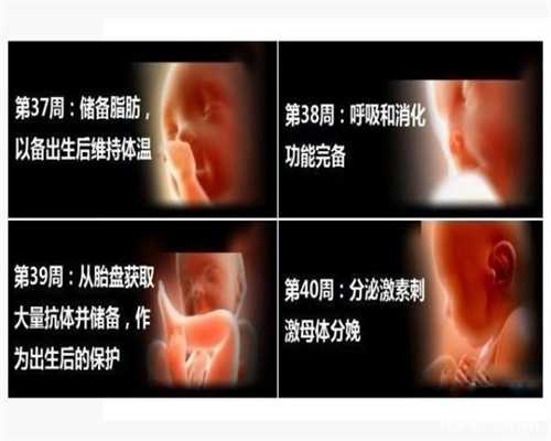 上海代孕好吗-怎么找上海代孕女-上海代孕一般什么价格