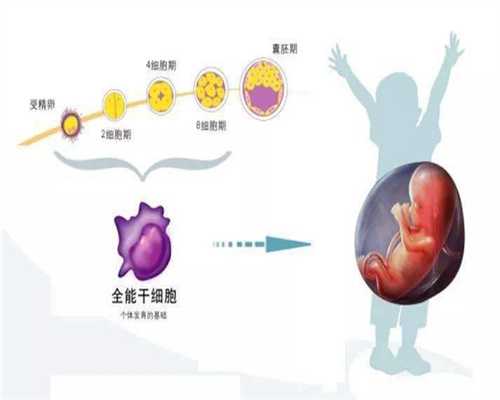上海代孕价位，上海代生孩子方法，上海代孕生男宝宝多少钱