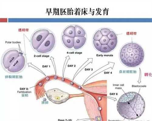 上海代孕合法么,上海代孕手术哪家较好【业内代孕服务领导品牌】