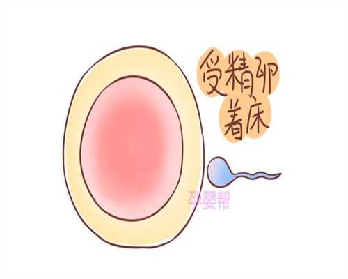 上海哪里可以做试管_上海代孕生双胞胎多少钱【上海科学代孕，迎接二胎来临