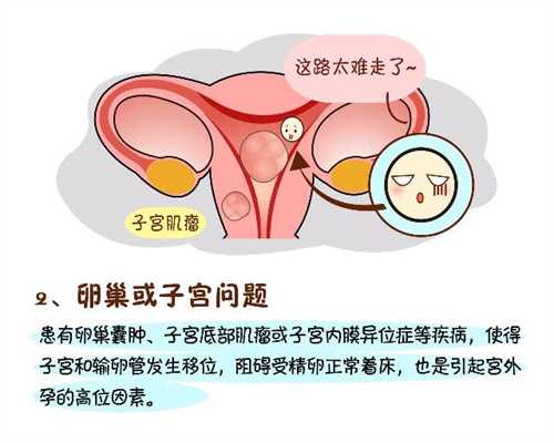 试管费用_深圳人工受孕试管婴儿多少钱（通常50914元）