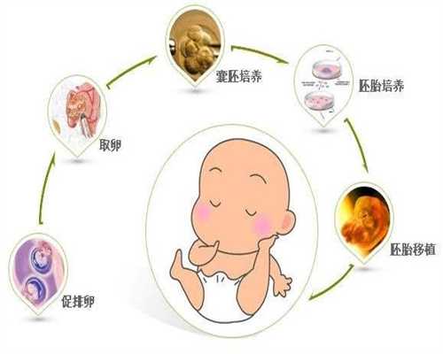 上海代怀孕机构_代孕孩子的方式是怎样的_代孕男孩多少钱电话
