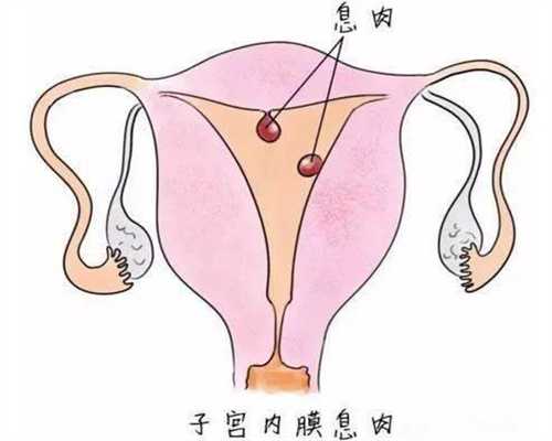 上海代孕成功率_代孕宝宝怎么样_代孕孩子qq群是多少
