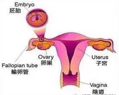 上海代孕医生咨询_代孕孩子价格联系方式_试管婴儿可以找人代孕吗