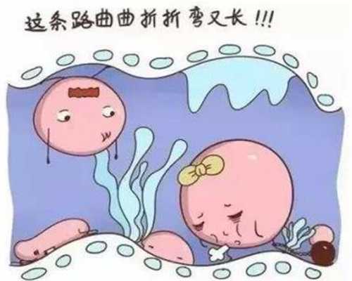 上海合法代孕需要多少钱_代孕儿子包男孩_代孕孩子一次多少钱
