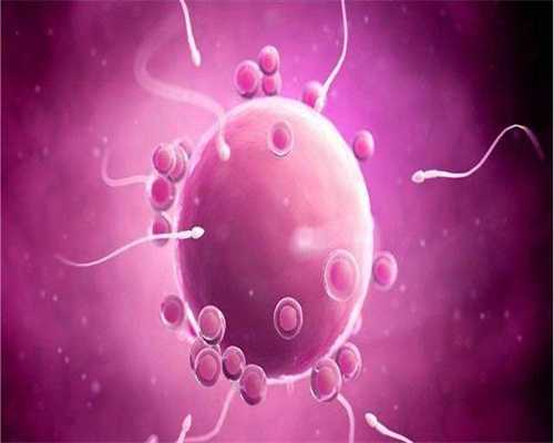 供卵助孕步骤_供卵试管是违法的吗_专题：哺乳期发烧的原因