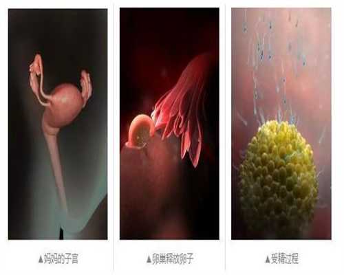 上海怎样联系地下代孕_尿检怀孕还要血检吗？