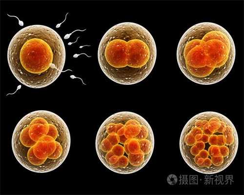 如何找代孕妈妈做试管婴儿-上海国内代孕需要多少钱_揭秘取卵全流程(附图),腹