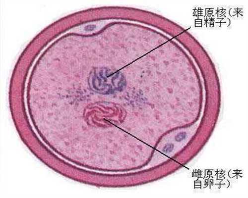 上海三代试管包生男孩-靠谱代孕中心_人流手术后女性可能会产生哪些并发症？
