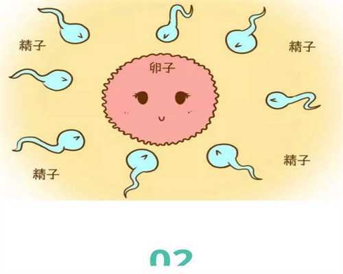 上海生孩子能代孕吗-代孕价格2022_试管婴儿移植后饮食上有什么禁忌吗？ 