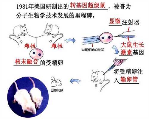 代孕妈妈要多少钱-上海供卵需要几代试管_北京哪个医院做试管婴儿 促排会提前